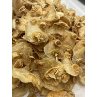  Premium Moroccan Black Croaker 63 (10 Heads, 500g)